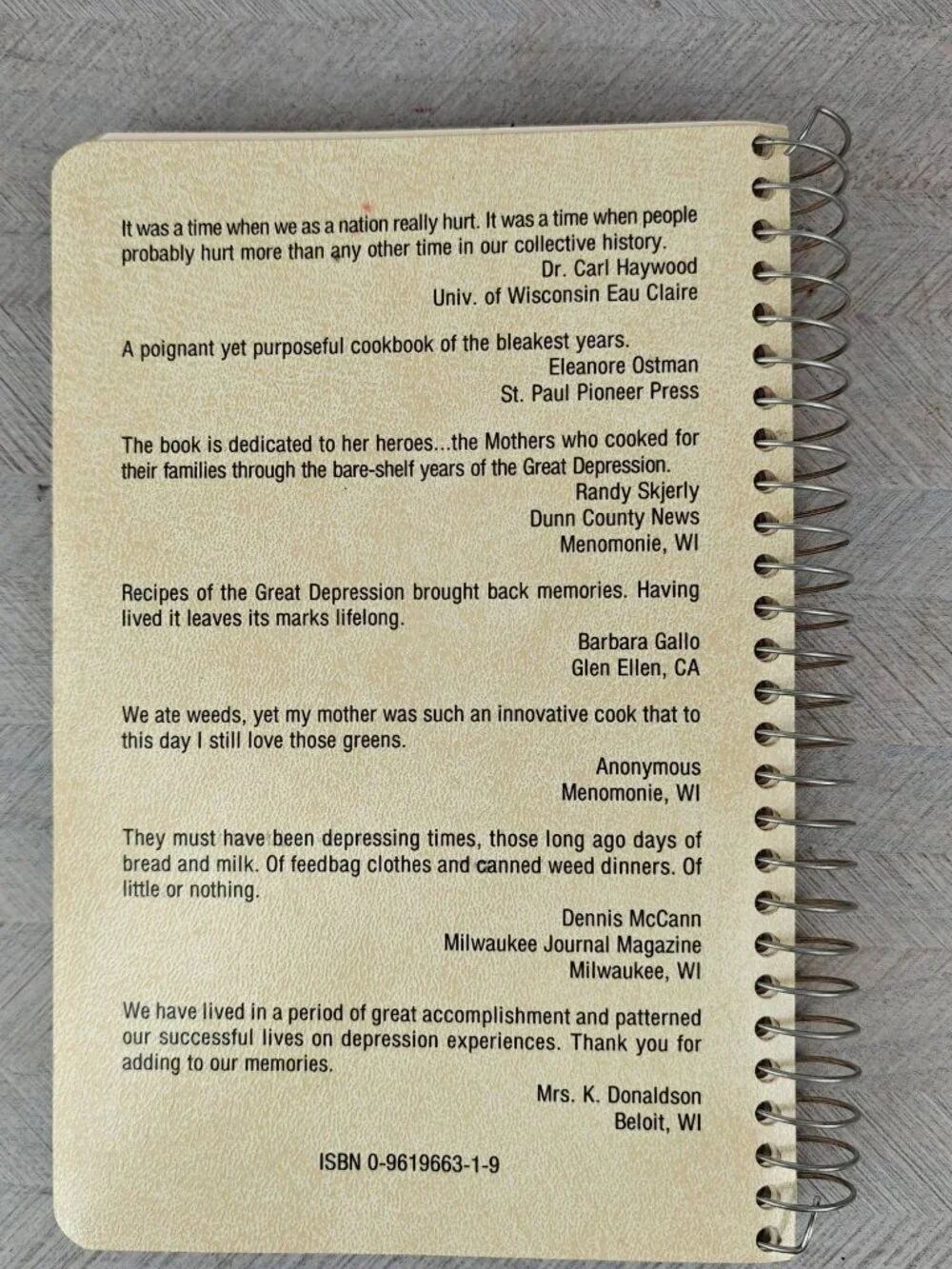 Stories And Recipes Of The Great Depression Rita Van Amber 1992 Spiral-Bound